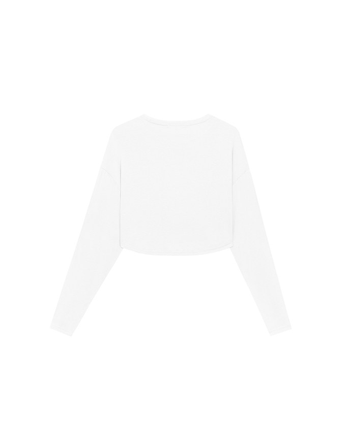 Basic Crew Neck Knit Fitted Long Sleeve Crop Top
