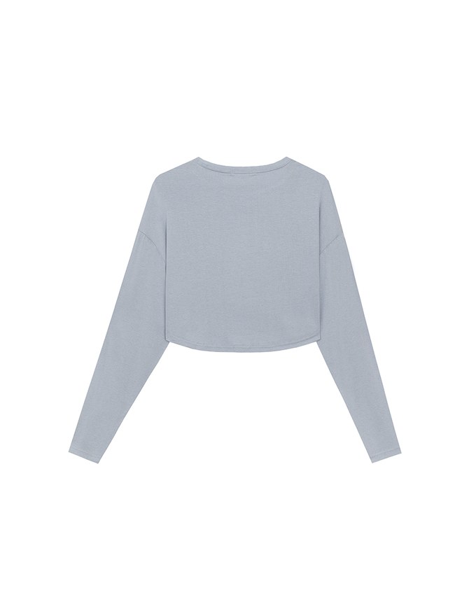 Basic Crew Neck Knit Fitted Long Sleeve Crop Top