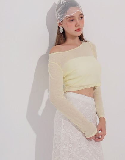 Round Neck Sheer Mesh Long Sleeve Cropped Top