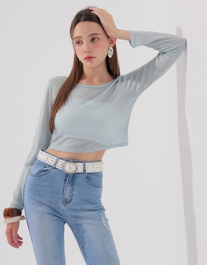 Round Neck Sheer Mesh Long Sleeve Cropped Top