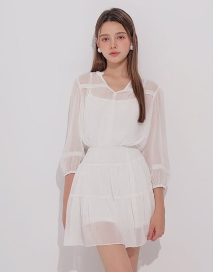 Sheer Chiffon Lace Trim Long Sleeve Mini Dress