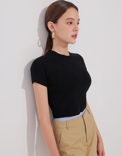 Basic Crew Neck Knit Fitted Crop Top