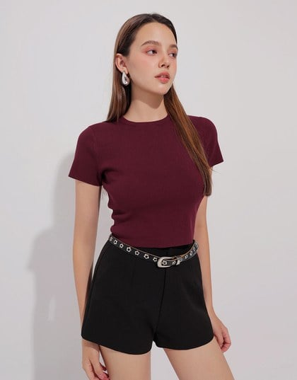 Basic Crew Neck Knit Fitted Crop Top