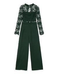 Transparent Jacquard Lace Hollow Back Jumpsuit (with Bralette)