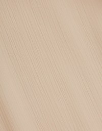 Open Collar Sheer Chiffon Vest (With Padding)