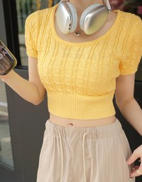 Braided Textured Short Sleeve Top