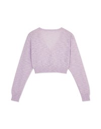 Sheer Mixed Yarn Knitted Top
