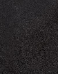 K-pop Tummy Control Leather Slit Skort