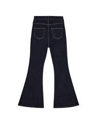 Shapely Flared Jeans