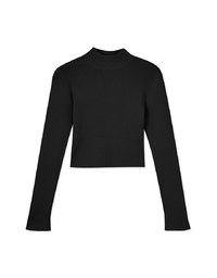 Classic Turtleneck Knitted Top