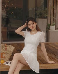 Sheer Pancake Pleat Fishtail Short Dress