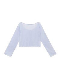 Sheer Ruffled Button Down Top