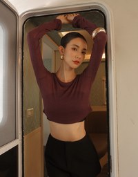 Sheer Knit Cropped Long Sleeve Top
