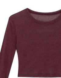 Sheer Knit Cropped Long Sleeve Top