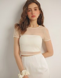 Crew Neck Sheer Mesh Short Sleeve Cropped Tee
