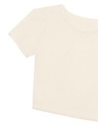 Crew Neck Sheer Mesh Short Sleeve Cropped Tee