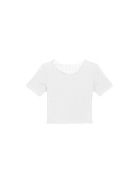 Sheer Lace Ruffle Trim Fitted Cropped Top with Lettuce Hem