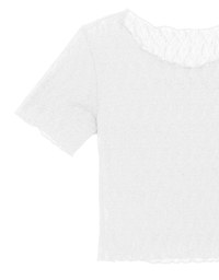 Sheer Lace Ruffle Trim Fitted Cropped Top with Lettuce Hem