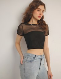 Crew Neck Sheer Mesh Short Sleeve Cropped Tee