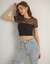 Crew Neck Sheer Mesh Short Sleeve Cropped Tee