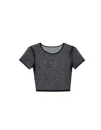 Crew Neck Sheer Mesh Short Sleeve Cropped Tee