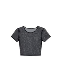 Crew Neck Sheer Mesh Short Sleeve Cropped Tee