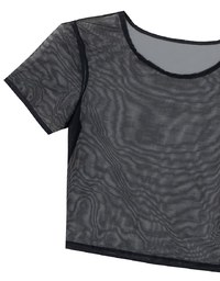 Crew Neck Sheer Mesh Short Sleeve Cropped Tee