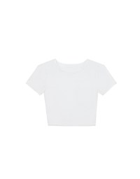 Crew Neck Sheer Mesh Short Sleeve Cropped Tee
