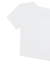Crew Neck Sheer Mesh Short Sleeve Cropped Tee