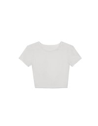 Crew Neck Sheer Mesh Short Sleeve Cropped Tee