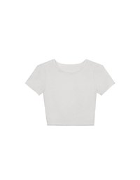 Crew Neck Sheer Mesh Short Sleeve Cropped Tee
