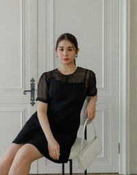 Puff Sleeve Transparent Mesh Top with Elegant Ribbon Back Design