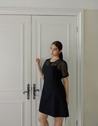 Puff Sleeve Transparent Mesh Top with Elegant Ribbon Back Design