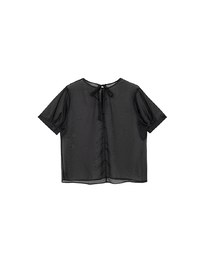 Puff Sleeve Transparent Mesh Top with Elegant Ribbon Back Design