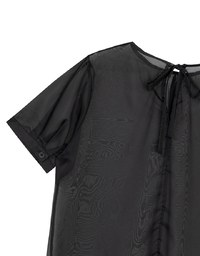 Puff Sleeve Transparent Mesh Top with Elegant Ribbon Back Design