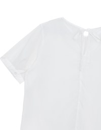Puff Sleeve Transparent Mesh Top with Elegant Ribbon Back Design
