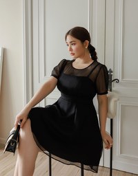 Layered Mesh Puff Sleeve Flare Mini Dress