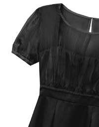 Layered Mesh Puff Sleeve Flare Mini Dress