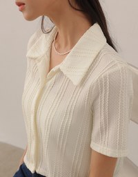 Striped Knit Collared Crop Shirt