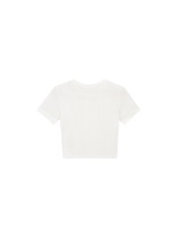 Contrast Trim Semi Sheer Knit Cropped Short Sleeve Tee