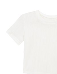 Contrast Trim Semi Sheer Knit Cropped Short Sleeve Tee