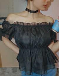 Off Shoulder Sheer Ruffle Chiffon Padded Top