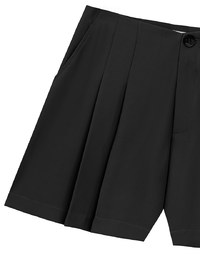 High Waist Pleated A Line Shorts