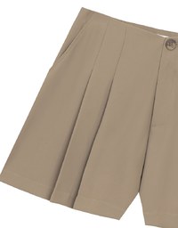 High Waist Pleated A Line Shorts