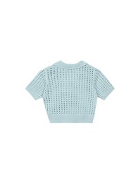 Short Sleeve V Neck Hollow Out Knit Crop Polo Top