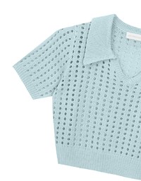 Short Sleeve V Neck Hollow Out Knit Crop Polo Top