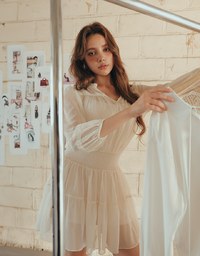 Sheer Chiffon Lace Trim Long Sleeve Mini Dress