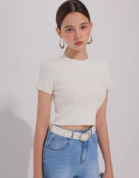 Basic Crew Neck Knit Fitted Crop Top
