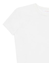 Basic Crew Neck Knit Fitted Crop Top