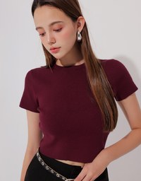 Basic Crew Neck Knit Fitted Crop Top